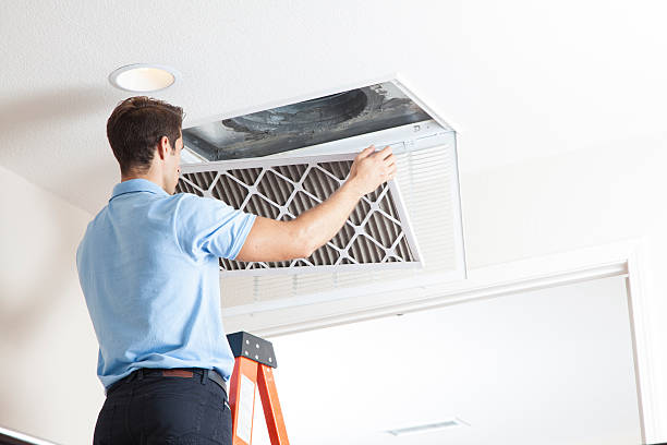 Best Residential HVAC services  in Gaylord, MN